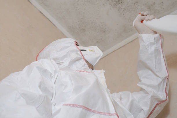 Best Commercial Mold Removal  in New Carrollton, MD