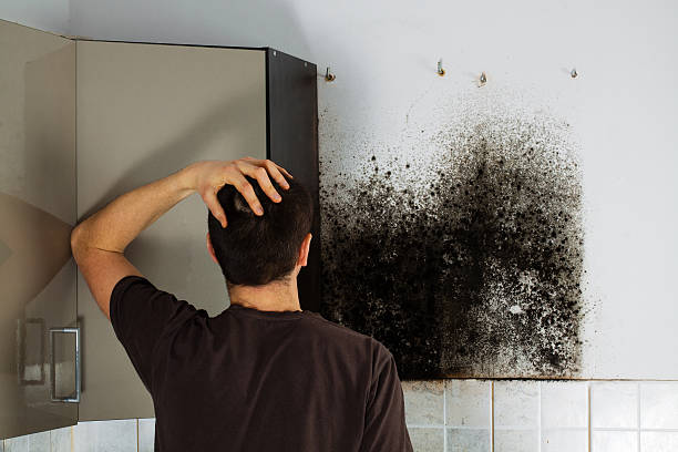 Best Residential Mold Removal  in New Carrollton, MD
